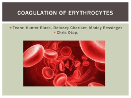 Coagulation of erythrocytes