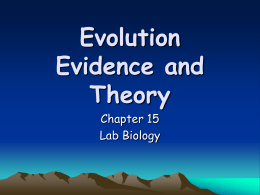 Evolution Evidence and Theory