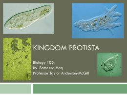 Kingdom Protista - College of the Canyons