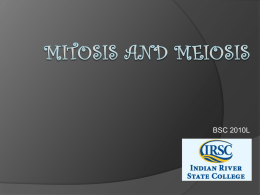 Mitosis and Meiosis - Biology Department