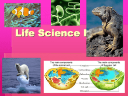 Life Science Review