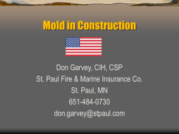 Mold in Construction