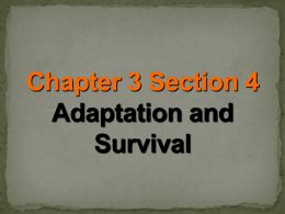 Chapter 3 Section 4 Adaptation and Survival