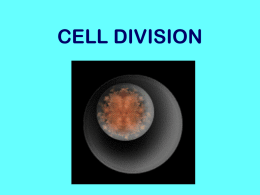 CELL DIVISION - Mrs. Cobbs' Biology 2010