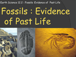 Earth Science 12.2 : Fossils :Evidence of Past Life