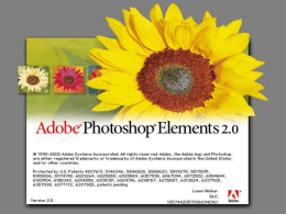 Adobe Photo Shop Elements V 2.0