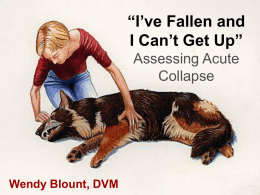 I’ve Fallen and I Can’t Get Up” Assessing Acute Collapse