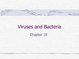 Viruses and Bacteria - Klahowya Secondary School