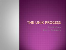 The UNIX process