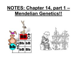 Chapter 14: Introduction to Genetics!!
