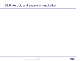 Powerpoint B2.6 Aerobic and anaerobic respiration