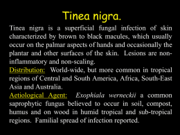 Tinea nigra [6 slides] - Mycology Online | NATIONAL