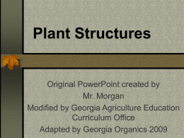 Modified Stems - Georgia Organics
