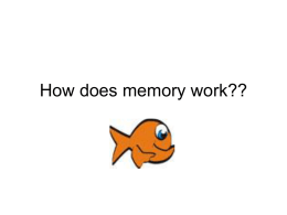 How does memory work?? - Spanish Point Chemistry