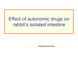 Effect of autonomic drugs on isolated intestine and heart