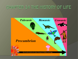 Chapter 14 The History of Life