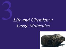 Life and Chemistry: Large Molecules