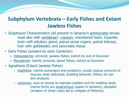 Subphylum Vertebrata – Early Vertebrates and