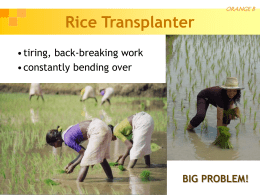 Sketch Model Review: Rice Transplanter Tree Barrow