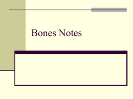 Bones Notes - Mrs. Franco's Biology & Anatomy Page
