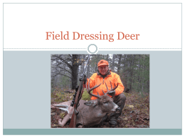 Field Dressing Deer