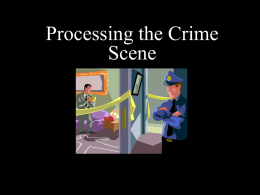 Processing the Crime Scene