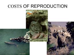 COSTS OF REPRODUCTION - Central Michigan University