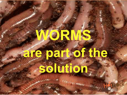 Why should we care about WORMS