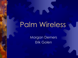 Palm Wireless - Rochester Institute of Technology