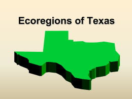Ecoregions of Texas PPT