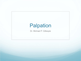 Palpation - Chiropractor Manhattan | Chiropractor New Yor City