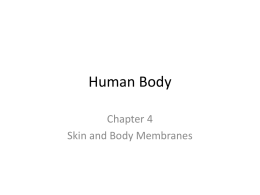 Human Body - Geneva High School