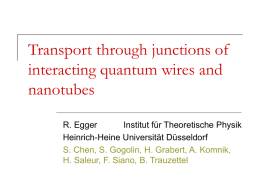 Transport through interacting quantum wires and nanotubes