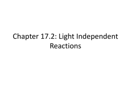 Chapter 17.2: Light Independent Reactions