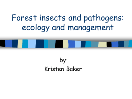 Exotic insects and pathogens: ecology and management
