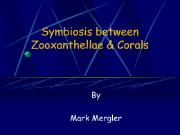 Symbiosis between Zooxanthellae & Corals