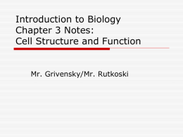 Introduction to Biology Chapter 3 Notes: Cell Structure