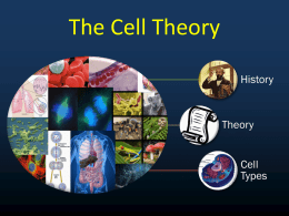 The Cell Theory - Magoffin County Schools