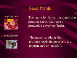 Seed Plants - Cato-Meridian Central School District