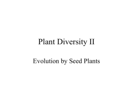 Plant Diversity I: Colonization by Land Plants