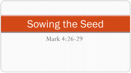 Sowing the Seed