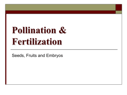 Pollination & Fertilization