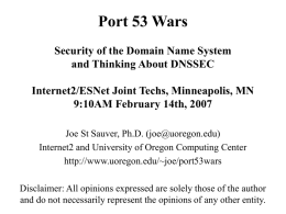 Port 53 Wars: Security of the Domain Name System and