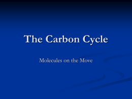 The Carbon Cycle - Dalton High School