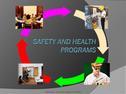 Safety and Health Program Management Guidelines