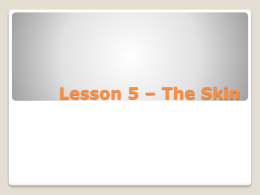 Lesson 5 – The Skin