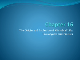 Three Domains – Archaea, Bacteria, Eukarya