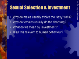 Sexual Selection & Investment
