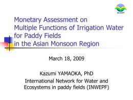 Monetary Assessment of the Multifunctional Roles of Paddy