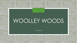 Woolley Woods